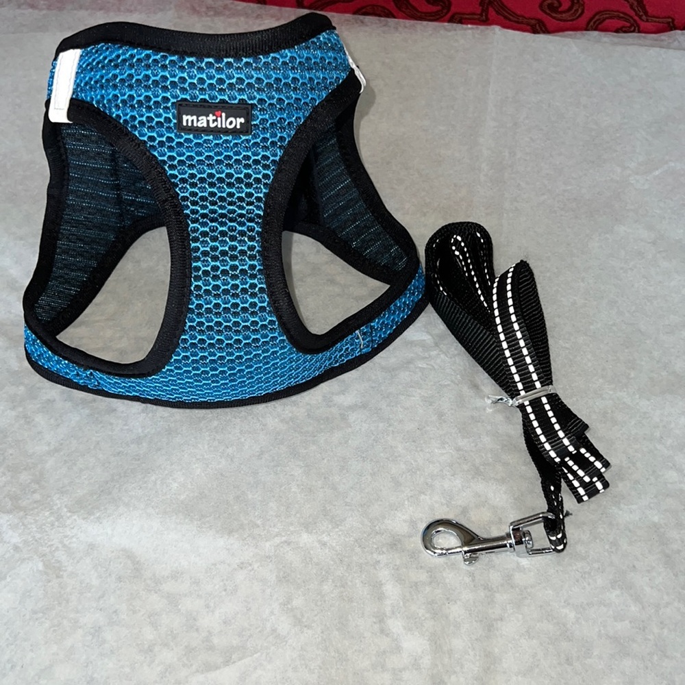 Dog harness size L with leash